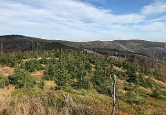 513_iP_191015_IMG_5402