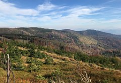 514_iP_191015_IMG_5403