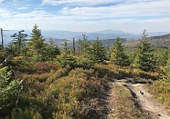 542_iP_191015_IMG_5408