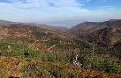 594_iP_191015_IMG_5422