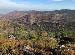 616_iP_191015_IMG_5456