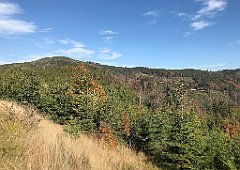 659_iP_191015_IMG_5465