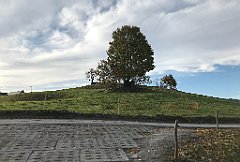 720_iP_191015_IMG_5486