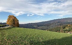 736_iP_191015_IMG_5492