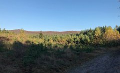 036_iP_191027_IMG_5508