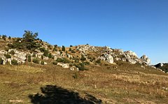 596_iP_191027_IMG_5628