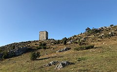 599_iP_191027_IMG_5631