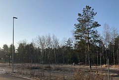 005_iP_200107_IMG_5793