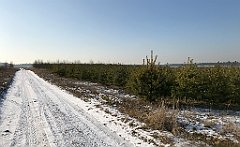 295_iP_200107_IMG_5819