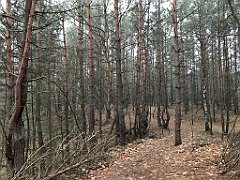 070_iP_200114_IMG_5903