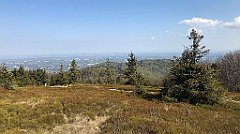 135_iP_200428_IMG_0041