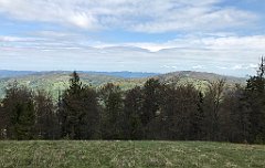 160_iP_200521_IMG_0099