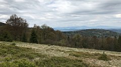 268_iP_200521_IMG_0103