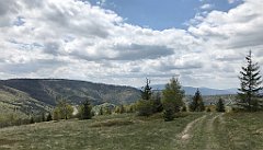 402_iP_200521_IMG_0133