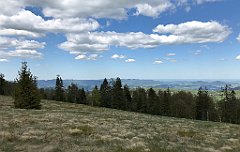 538_iP_200521_IMG_0144