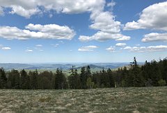 539_iP_200521_IMG_0145