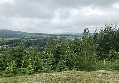 233_iP_20200615_IMG_1124