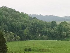 010_p20_IMG_20200617_101727