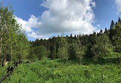 388_iP_200617_IMG_1177