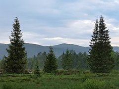 505_p20_IMG_20200617_193256