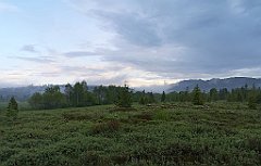 511_p20_IMG_20200617_193652