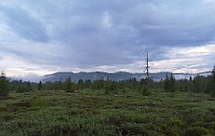 518_p20_IMG_20200617_193759