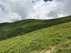 104_iP_200619_IMG_1228