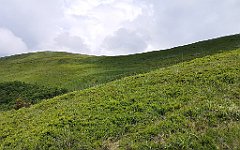 112_p20_IMG_20200619_113337