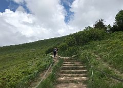 121_iP_200619_IMG_1237