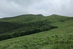 297_iP_200619_IMG_1305