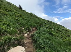 306_iP_200619_IMG_1312