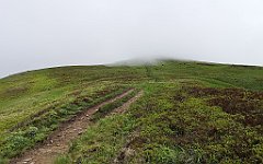 369_p20_IMG_20200619_151104