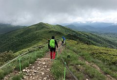 490_iP_200619_IMG_1343