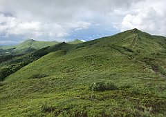 619_iP_200619_IMG_1378