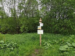 704_p20_IMG_20200619_190903