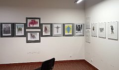 146_p20_IMG_20200620_105616