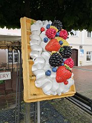 225_p20_IMG_20200620_113648