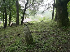 375_p20_IMG_20200620_140646