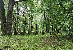 391_p20_IMG_20200620_141043