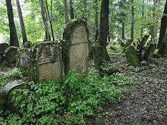 401_p20_IMG_20200620_141356