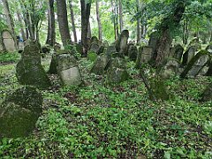 411_p20_IMG_20200620_141707