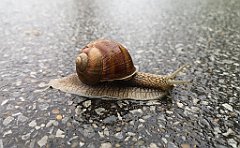 064_p20_IMG_20200621_103522