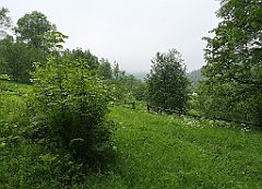 099_p20_IMG_20200621_104406