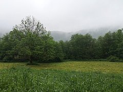 172_p20_IMG_20200621_120618