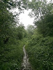 207_p20_IMG_20200621_125131