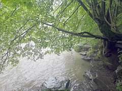 286_p20_IMG_20200621_134922