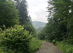 374_p20_IMG_20200621_144428