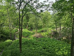 431_p20_IMG_20200621_152333