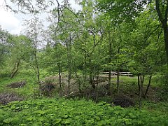 433_p20_IMG_20200621_152438