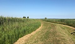 107_iP_200719_IMG_1510